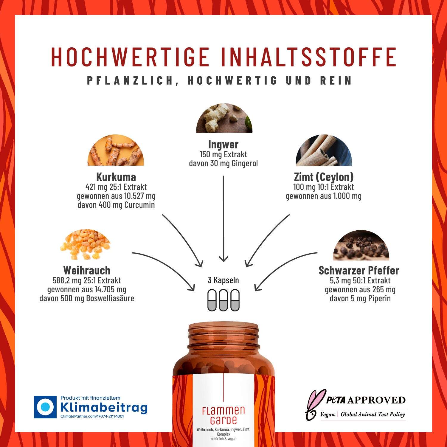 Naturtreu Turmeric, Boswellia, Ginger, Cinnamon & Black Pepper Complex